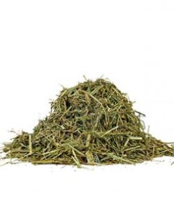 RAY GRASS