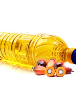 RBD Palm Oil