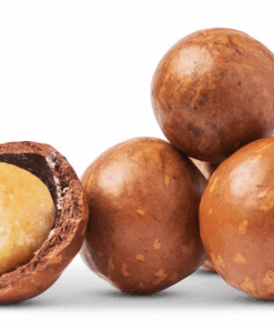 Macadamia Nuts